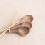 Wood - Mini Spoon
